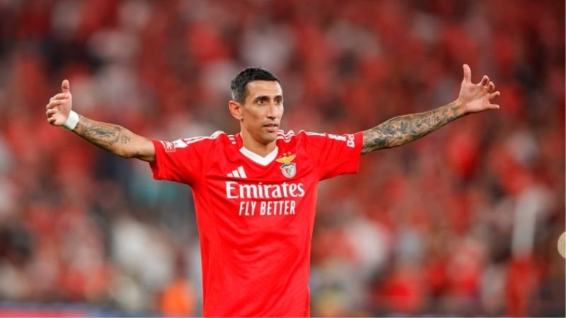 nhan-dinh-soi-keo-benfica-vs-bologna-champions-league